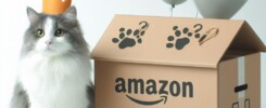 amazon pet day amazon tam hesap yönetimi tam hizmet | estoreboost amazon tam hesap yönetimi tam hizmet | estoreboost amazon pet day